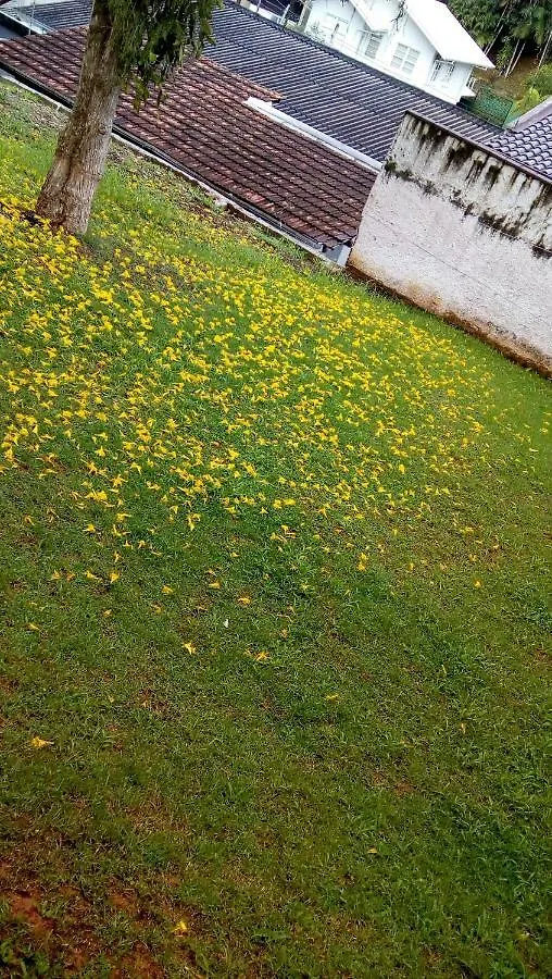 Pousada Jardim Alameda Блуменау Гостевой дом